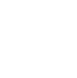 Twitter-X -logo-in-white